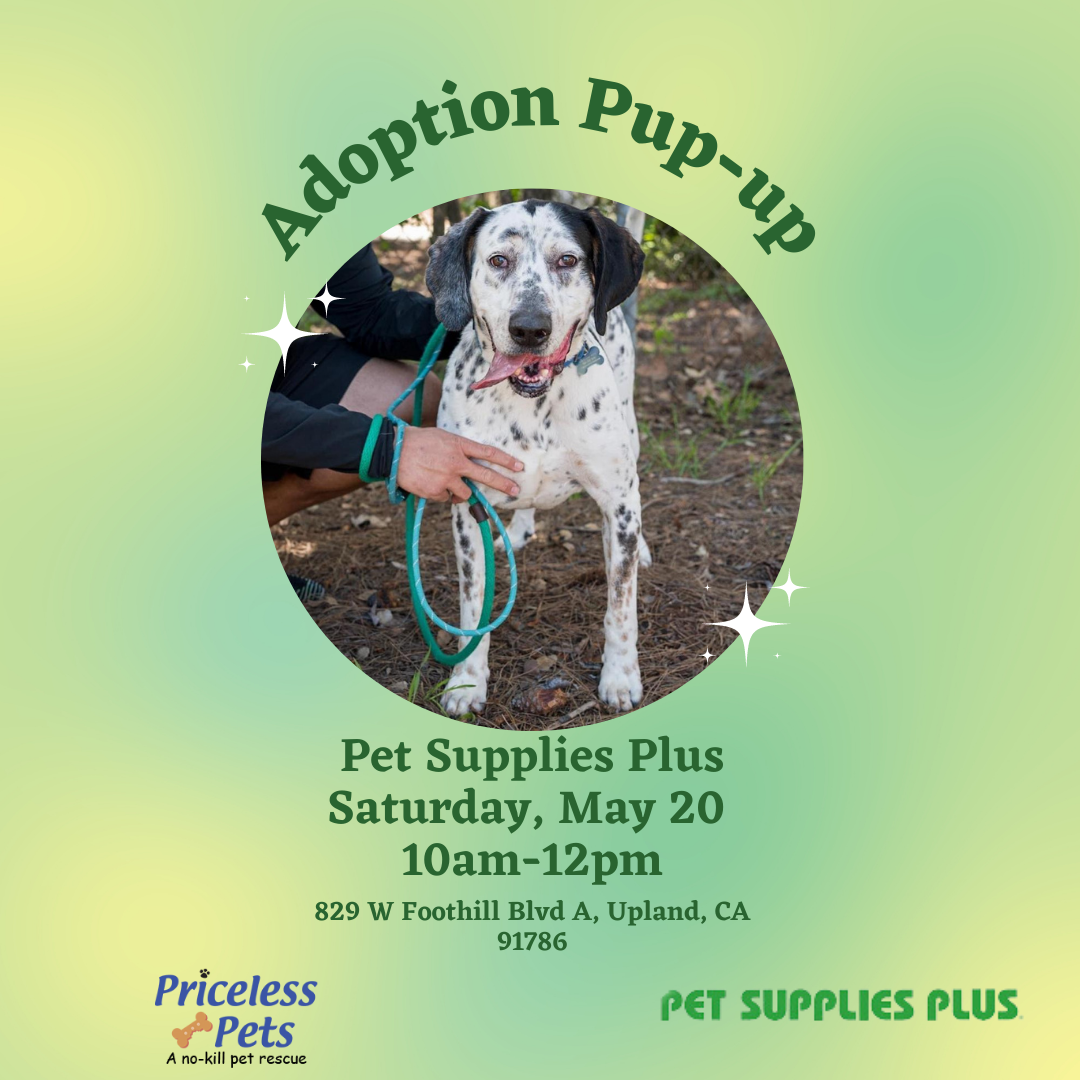 Adoption Pup Up Pet Supply Plus Priceless Pet Rescue