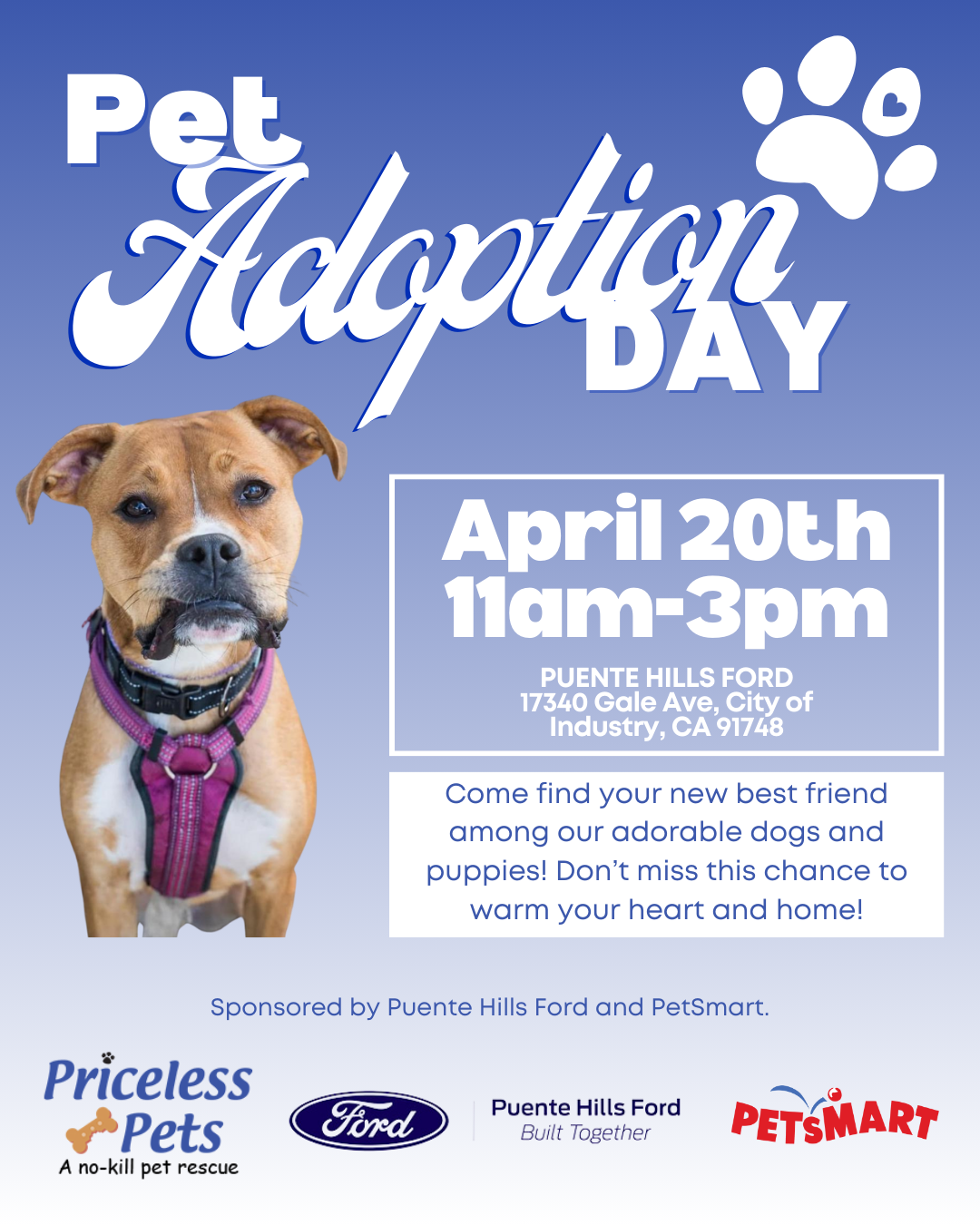 Pet Adoption Day | Priceless Pet Rescue